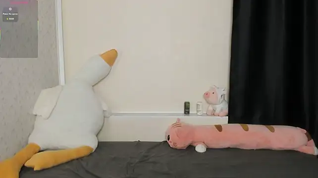 succubantran Live XXX chat