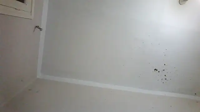 Webkamerová show Arabprinceofslv