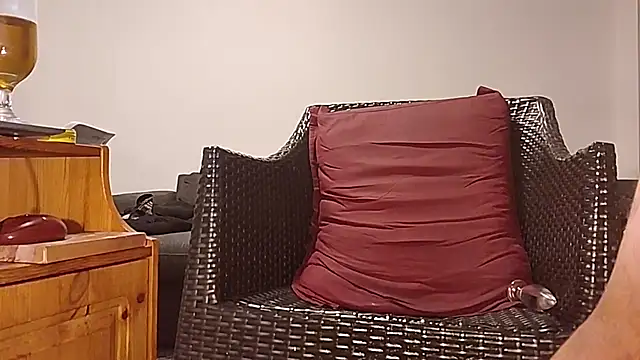 Tyyson03n Webbikameraesitys