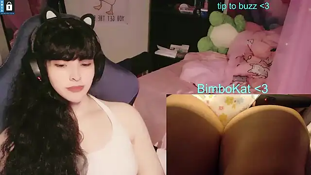 BimboCat 웹캠 쇼