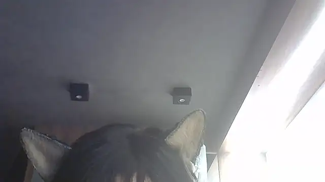 Show de SkinnyKitten na webcam