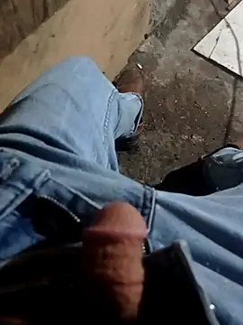 عرض كام bolulupideci14