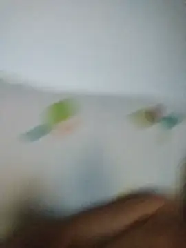 juandi21cm webcam show