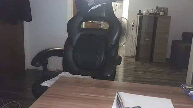 הופעת וובקאם של roystark22
