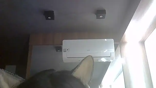 Show de SkinnyKitten na webcam