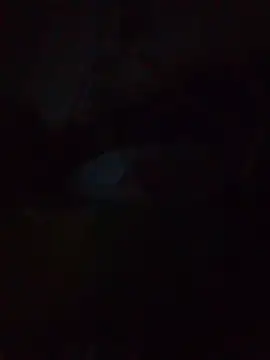 Clacla23mk Show in webcam