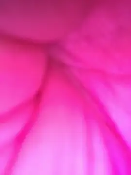 Catababa67's Live XXX Chat