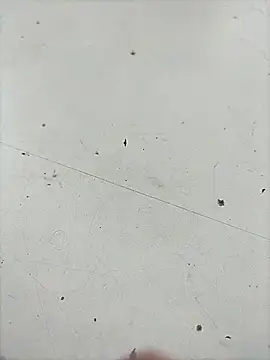 Pitercom 在線直播表演