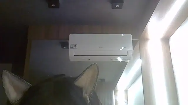 Chat +18 de SkinnyKitten ao vivo