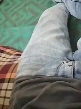 fackshowKannadan Webbikameraesitys