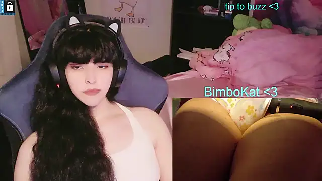 BimboCat 现场XXX聊天