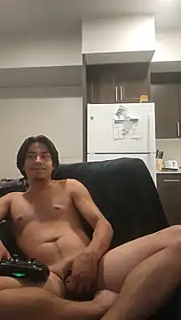 ZeldaSneakyLink's Webcam Show