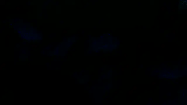 s_urprise 웹캠 쇼