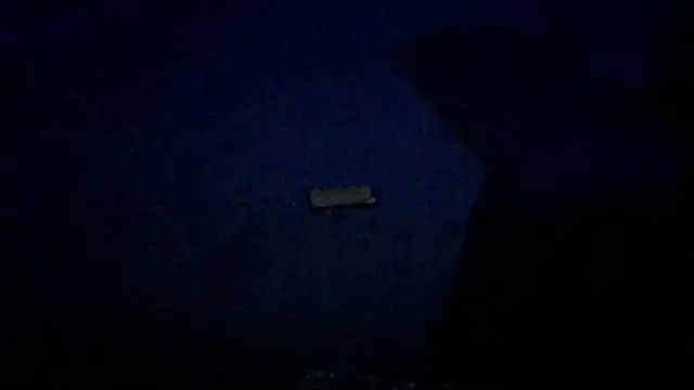 Show webcam de Busdownsamuels