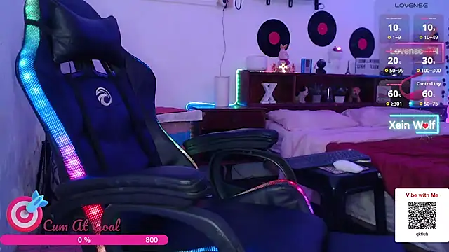 הופעת וובקאם של Xein_WoIf