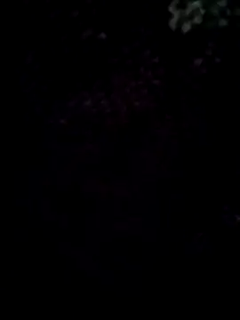 Chat XXX Live sam_nss