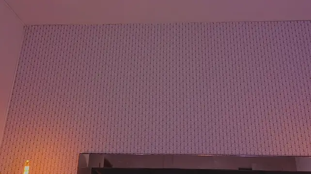 ryo_light 在線直播表演