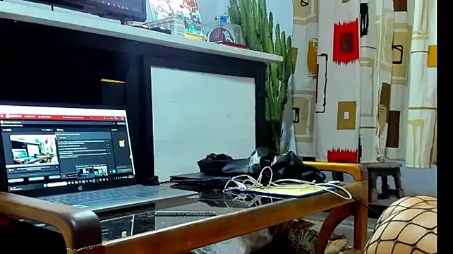 Vanesplay 网络视讯表演