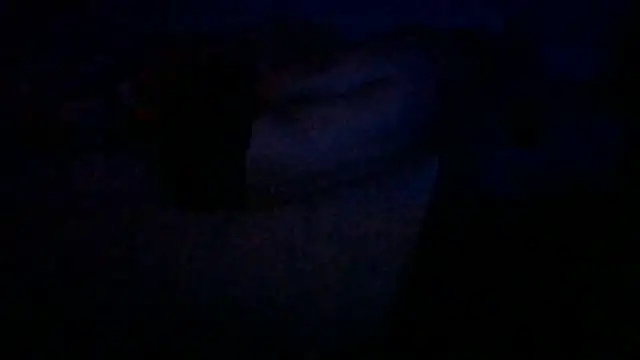 Busdownsamuels' Webcam Show