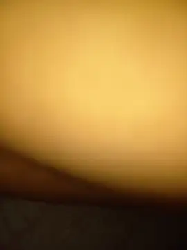 pujarteag's Webcam Show
