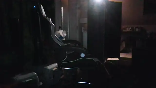bigshh8 Show in webcam