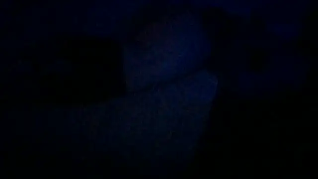 Show Webcam de Busdownsamuels