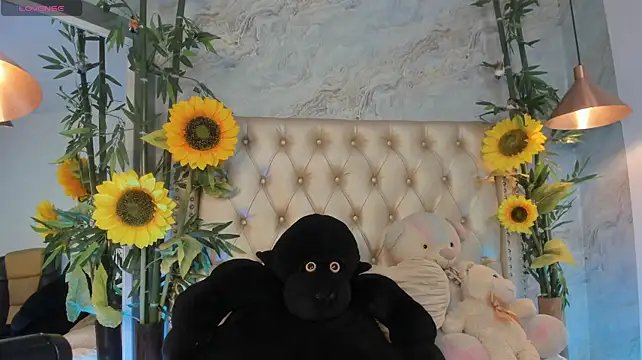 Chat +18 de LittleeJaz ao vivo