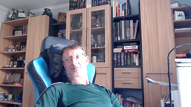 Horwein Webcam-Show