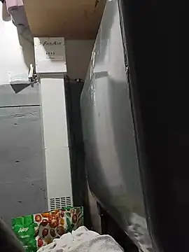 Show webcam de BulbasaurIsmettv