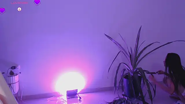 Chat XXX ao vivo de taty-tits