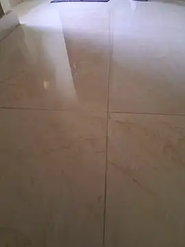 Show modela Telugupukuu na web-kameri