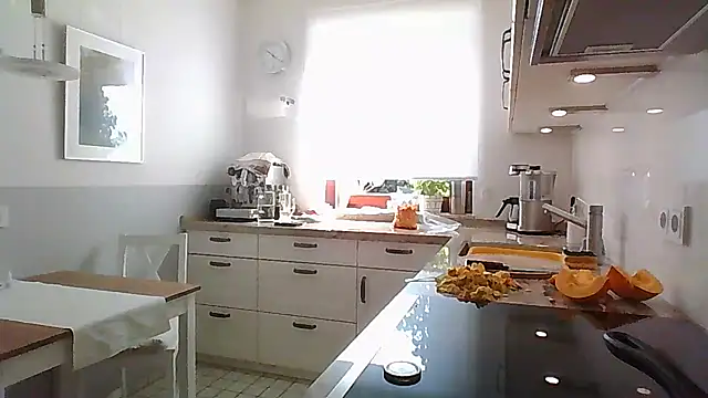 super-snoopyn Webbikameraesitys