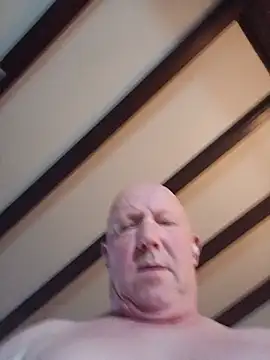 Tomsskyyn Webbikameraesitys