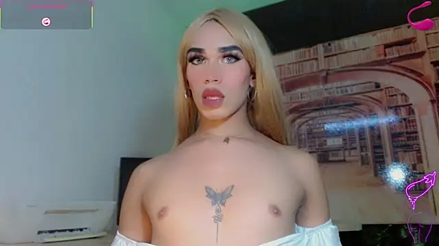 Michell_luxen Webbikameraesitys