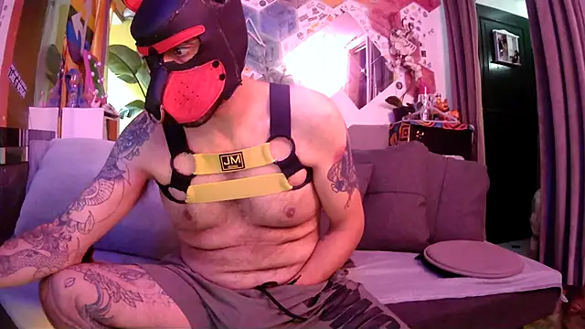 Show webcam de danix_wild_wolf