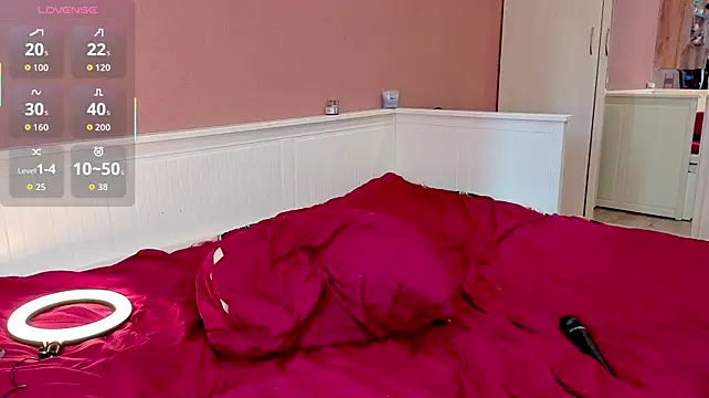 Ladypuptoy Webcam-Show