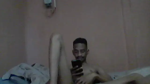 gemini_loops Show Webcam