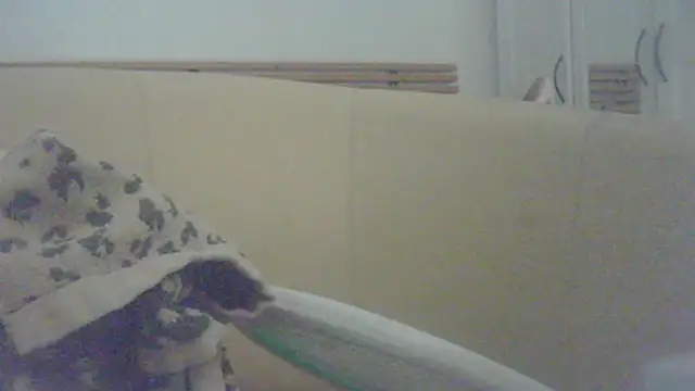 steven_mar43684 라이브 XXX 채팅