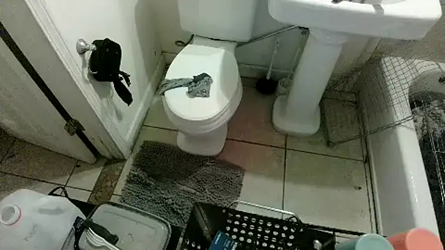Show webcam de PornStro921