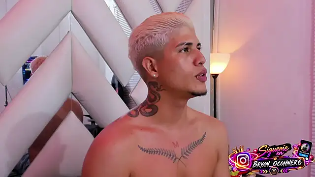 dominic_connor Chat XXX in diretta