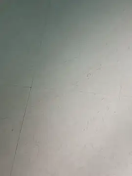 passangtam Pertunjukan Webcam
