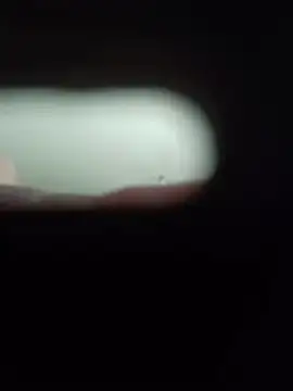 Živý XXX chat kotkite