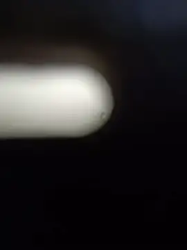 Webkamerová show kotkite