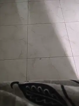 Roni-15n Webbikameraesitys