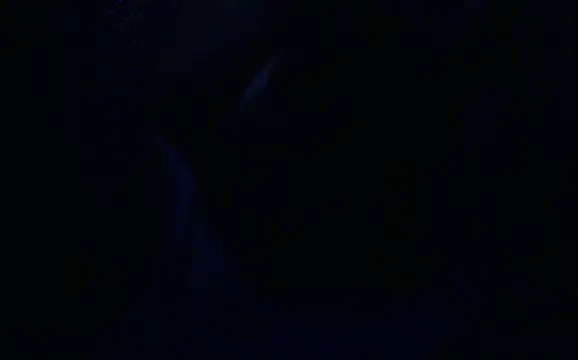 Show webcam de Oynyx