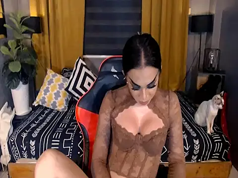 عرض كام VeshtidaTS