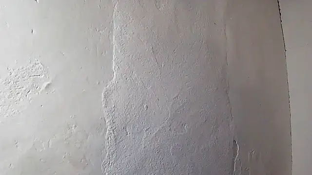 Noscay Webcamshow