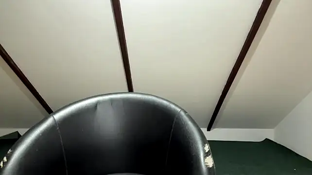 AirVeils Webcam show