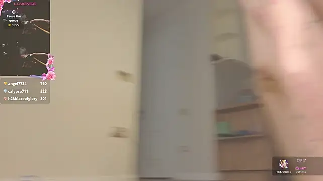 Ake_Mi Show Webcam