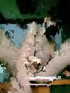 dddauxuxn Webcam show
